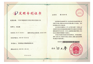 發(fā)明專利