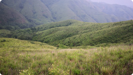 廣盛原